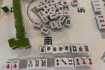 学习国粹！瓦妮莎打起了麻将 这麻将还是外国特供版